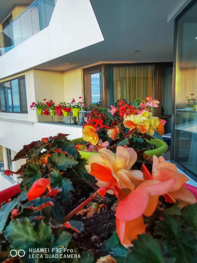 Luxury Apartments Alix Burgas City Eksteriør billede